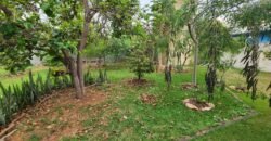 Casa com 2 lotes – Monte Sinai – Alto Paraíso de Goiás