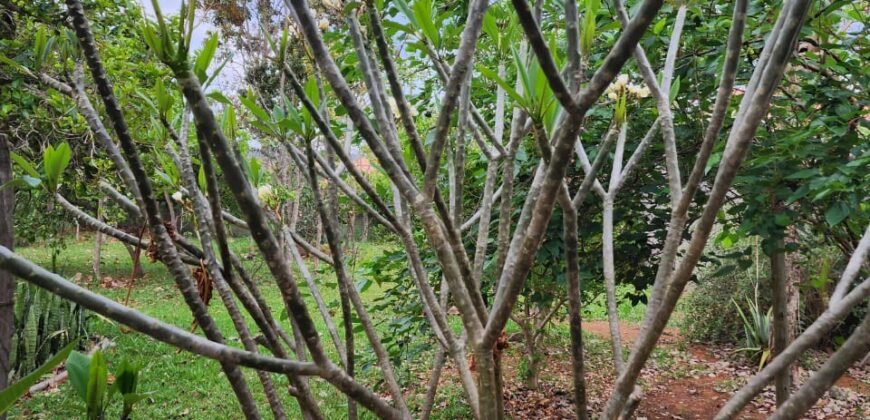 Casa com 2 lotes – Monte Sinai – Alto Paraíso de Goiás