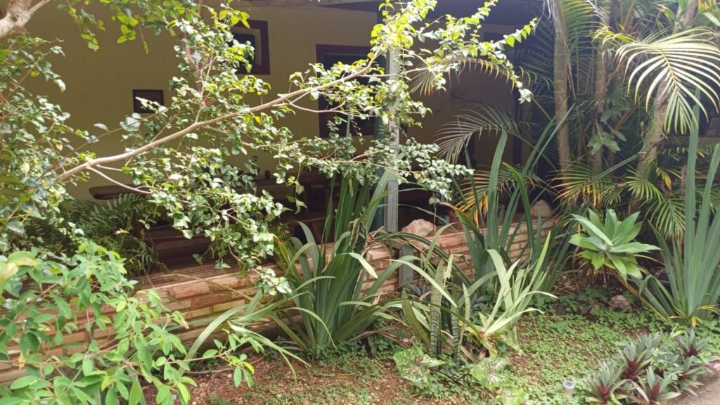 Pousada em funcionamento – Centro – Alto Paraíso de Goiás – Chapada dos Veadeiros