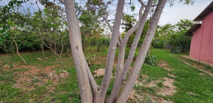 Casa com 2 lotes – Monte Sinai – Alto Paraíso de Goiás