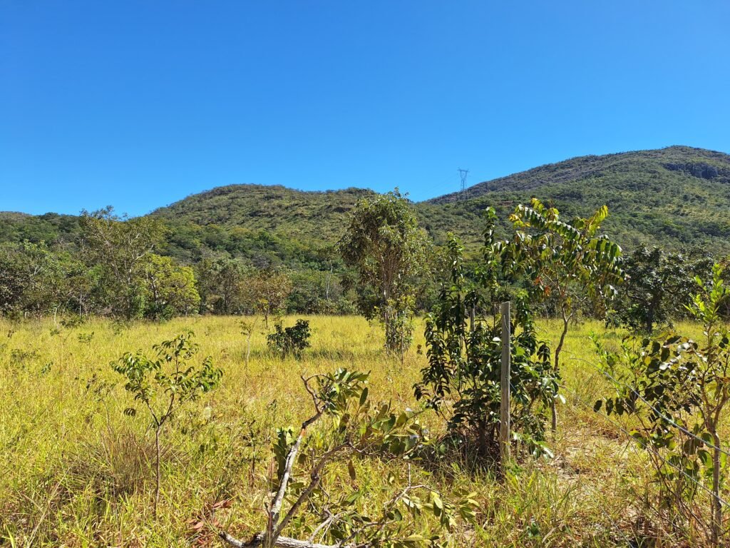 Chácara 4,5ha – 8km do centro de Cavalcante – Chapada dos Veadeiros