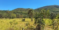 Chácara 4,5ha – 8km do centro de Cavalcante – Chapada dos Veadeiros Chácara 4,5ha – 8km do centro de Cavalcante – Chapada dos Veadeiros