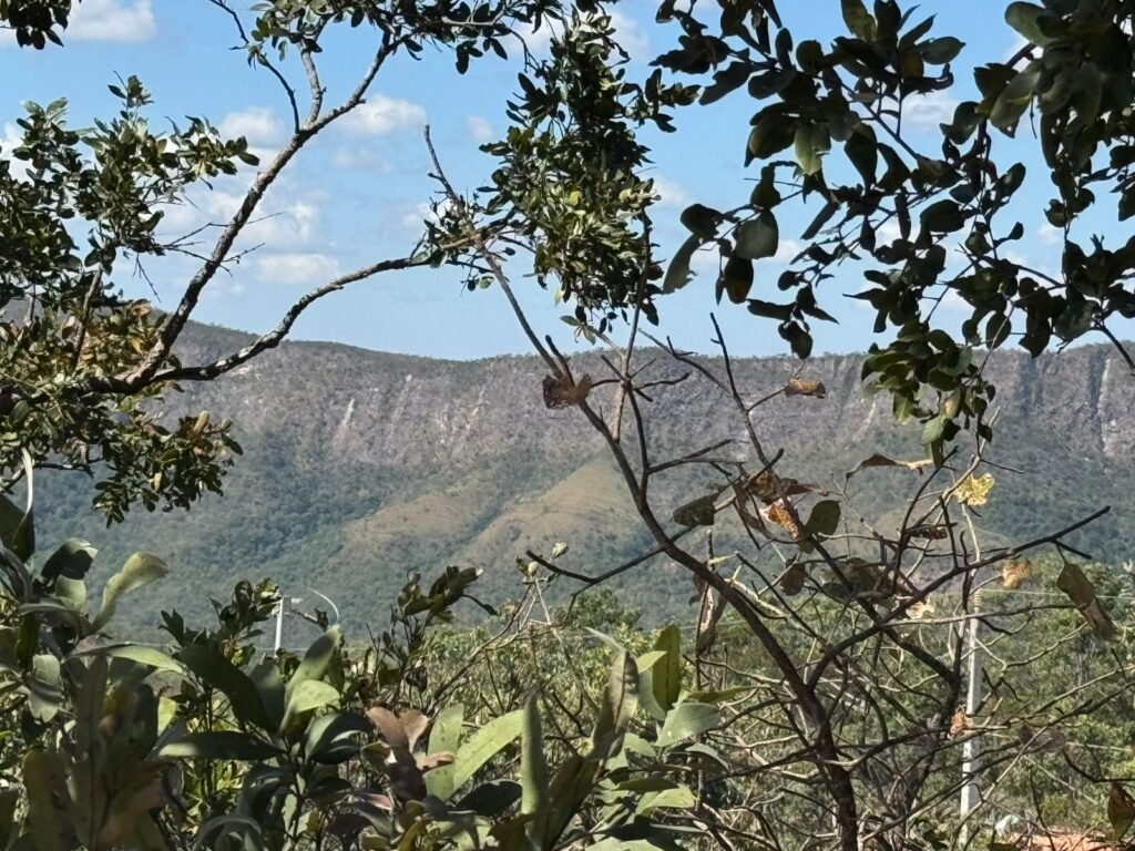 Vende-se Maravilhoso Lote 3.854m2 –  Exclusivo em São Jorge!