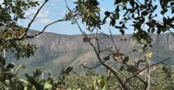 Vende-se Maravilhoso Lote 3.854m2 – Exclusivo em São Jorge! Vende-se Maravilhoso Lote 3.854m2 – Exclusivo em São Jorge!