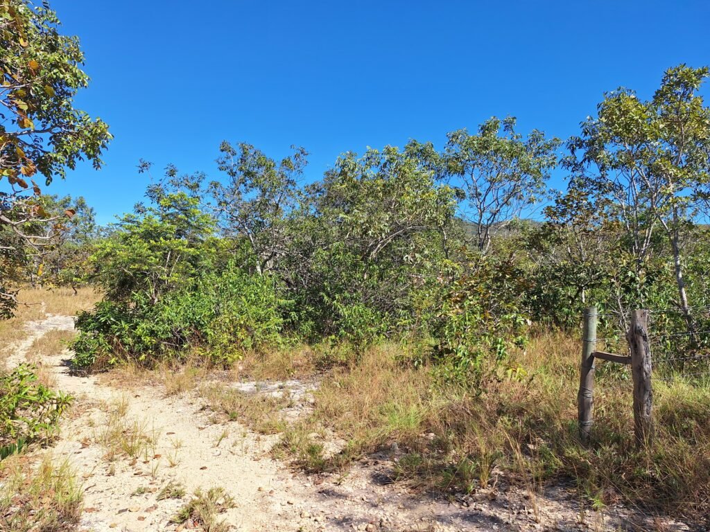 Chácara 4,5ha – 8km do centro de Cavalcante – Chapada dos Veadeiros