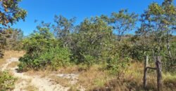 Chácara 4,5ha – 8km do centro de Cavalcante – Chapada dos Veadeiros Chácara 4,5ha – 8km do centro de Cavalcante – Chapada dos Veadeiros