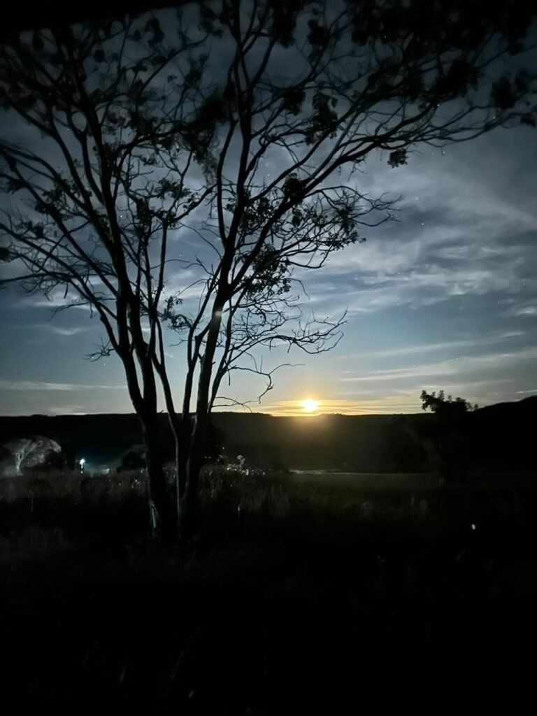 🚜🌳 Maravilhoso Sítio 20ha 🌳🚜 12 km de Alto Paraíso sentido São João da Aliança