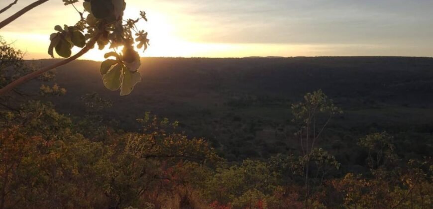 Chácara com Vista Permanente, acesso ao Rio e Conforto na Chapada! 4.7ha