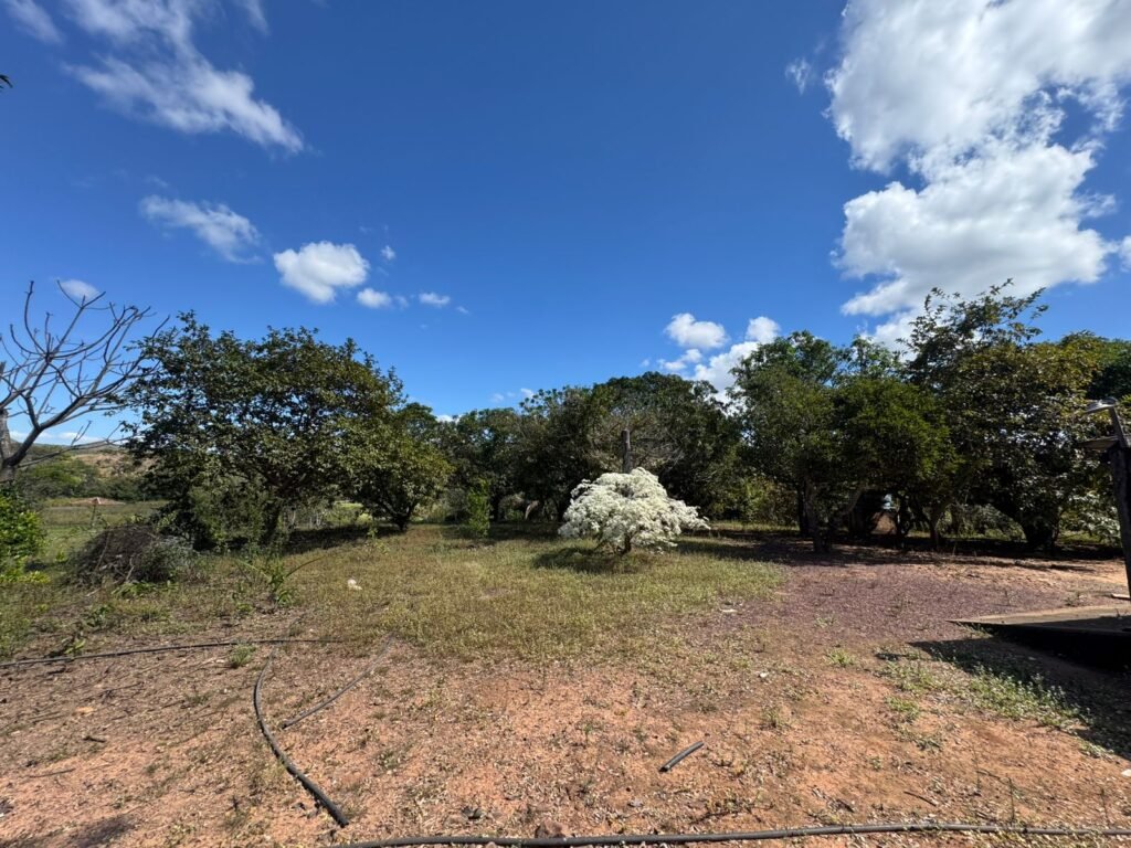 Sítio 15ha – Rio – Açude de Peixe – São João da Aliança – Chapada dos Veadeiros