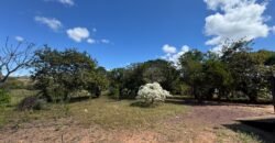 Sítio 15ha – Rio – Açude de Peixe – São João da Aliança – Chapada dos Veadeiros Sítio 15ha – Rio – Açude de Peixe – São João da Aliança – Chapada dos Veadeiros