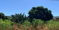 Lote 375m2 – Colinas do Sul Lote 375m2 – Colinas do Sul