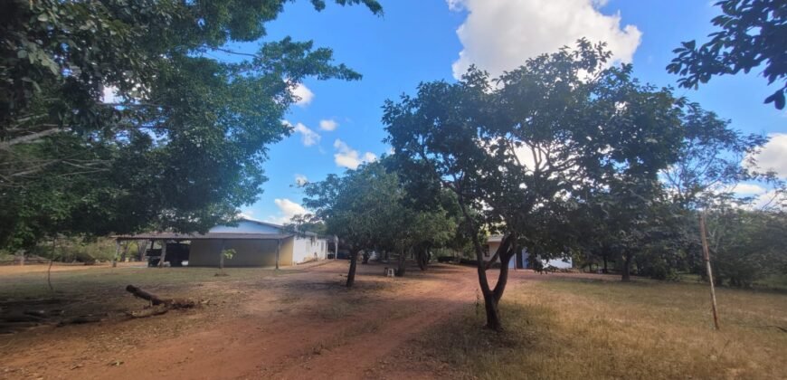 Sítio 15ha – Rio – Açude de Peixe – São João da Aliança – Chapada dos Veadeiros