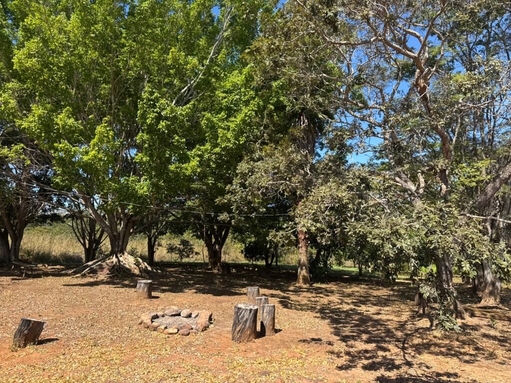 Sítio 15ha – Rio – Açude de Peixe – São João da Aliança – Chapada dos Veadeiros