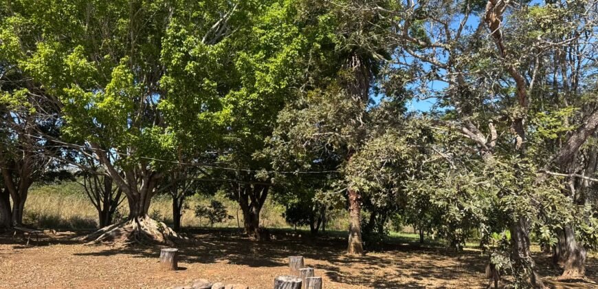 Sítio 15ha – Rio – Açude de Peixe – São João da Aliança – Chapada dos Veadeiros