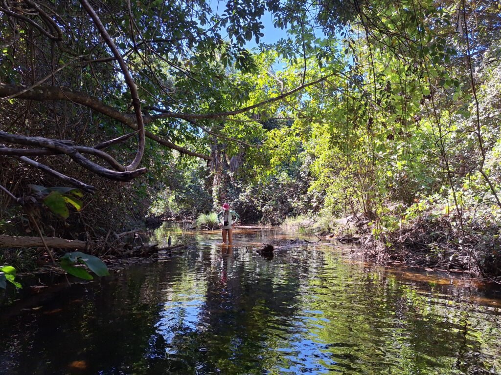Chácara 4,5ha – 8km do centro de Cavalcante – Chapada dos Veadeiros