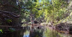 Chácara 4,5ha – 8km do centro de Cavalcante – Chapada dos Veadeiros Chácara 4,5ha – 8km do centro de Cavalcante – Chapada dos Veadeiros