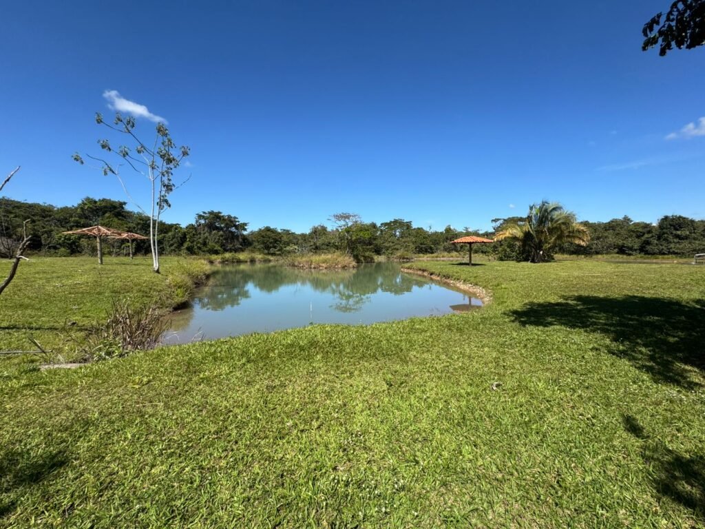 Sítio 15ha – Rio – Açude de Peixe – São João da Aliança – Chapada dos Veadeiros