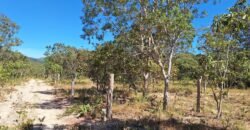Chácara 4,5ha – 8km do centro de Cavalcante – Chapada dos Veadeiros Chácara 4,5ha – 8km do centro de Cavalcante – Chapada dos Veadeiros