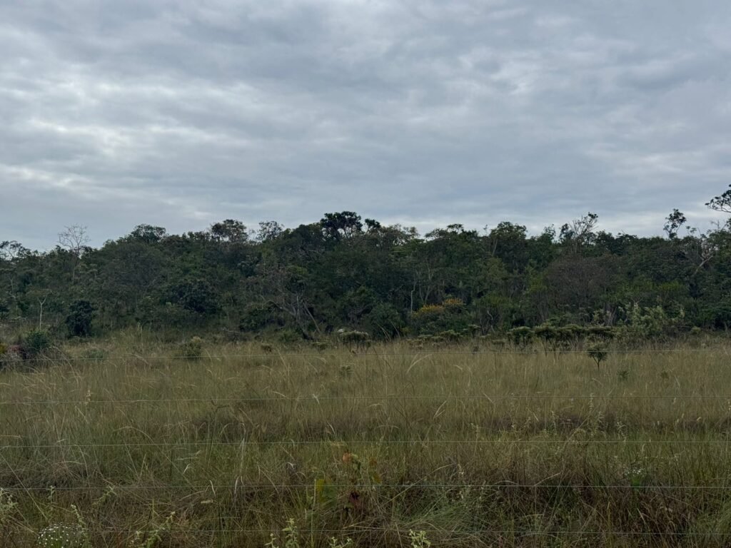 Chácara 40.000m – 5 km de Alto Paraíso – 100% regularizada