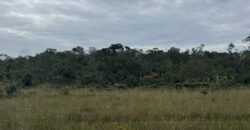 Chácara 40.000m – 5 km de Alto Paraíso – 100% regularizada Chácara 40.000m – 5 km de Alto Paraíso – 100% regularizada