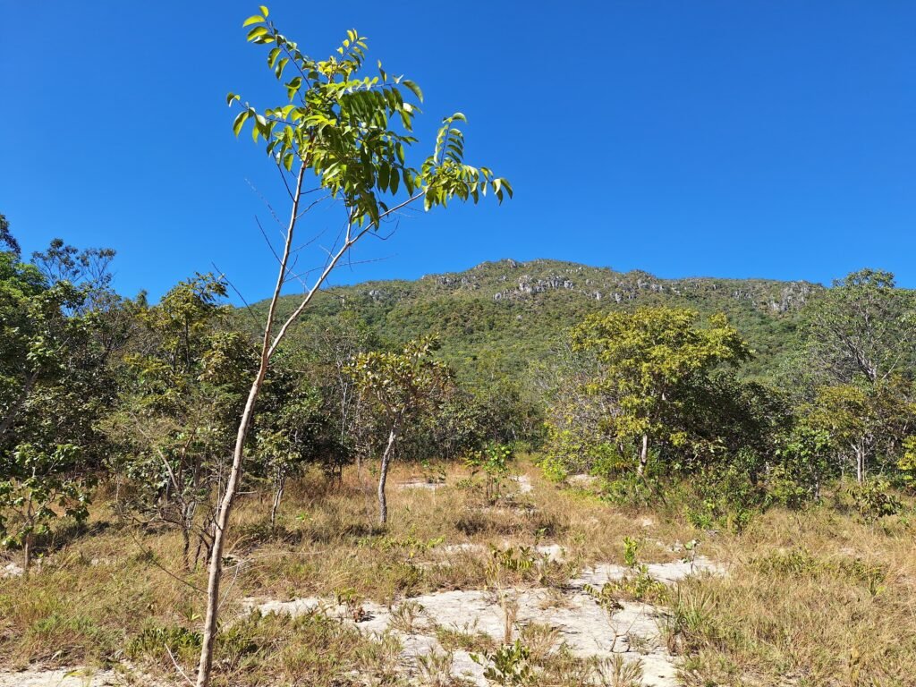 Chácara 4,5ha – 8km do centro de Cavalcante – Chapada dos Veadeiros