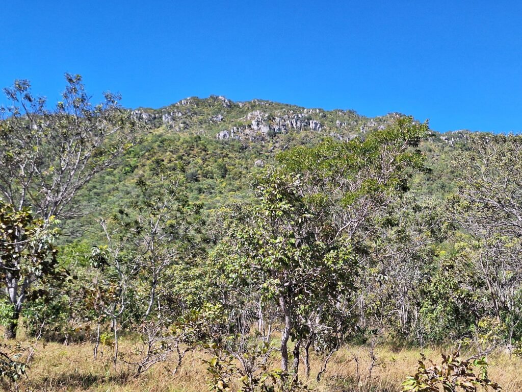 Chácara 4,5ha – 8km do centro de Cavalcante – Chapada dos Veadeiros