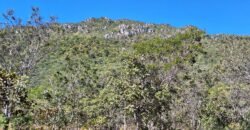 Chácara 4,5ha – 8km do centro de Cavalcante – Chapada dos Veadeiros Chácara 4,5ha – 8km do centro de Cavalcante – Chapada dos Veadeiros