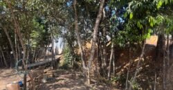 🚜🌳 Maravilhoso Sítio 20ha 🌳🚜 12 km de Alto Paraíso sentido São João da Aliança