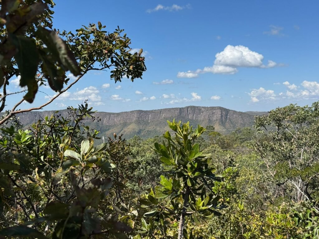 Vende-se Maravilhoso Lote 3.854m2 –  Exclusivo em São Jorge!