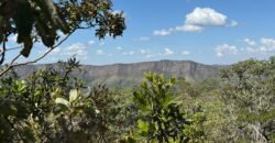 Vende-se Maravilhoso Lote 3.854m2 – Exclusivo em São Jorge! Vende-se Maravilhoso Lote 3.854m2 – Exclusivo em São Jorge!