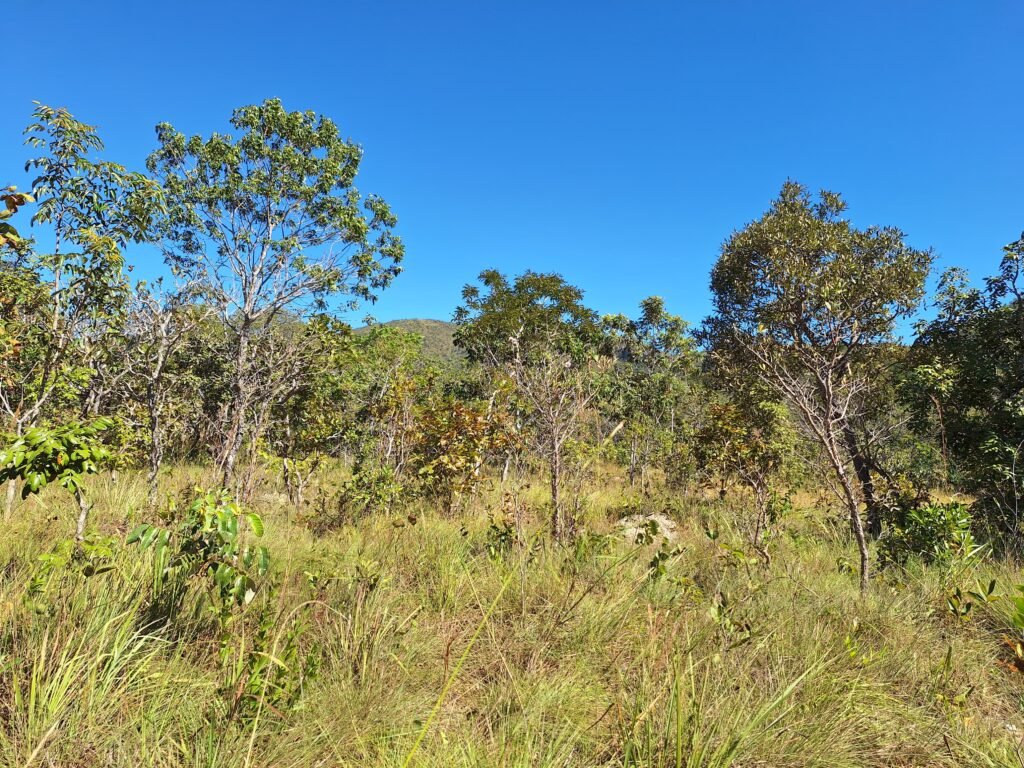 Chácara 4,5ha – 8km do centro de Cavalcante – Chapada dos Veadeiros