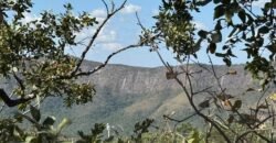 Vende-se Maravilhoso Lote 3.854m2 – Exclusivo em São Jorge! Vende-se Maravilhoso Lote 3.854m2 – Exclusivo em São Jorge!