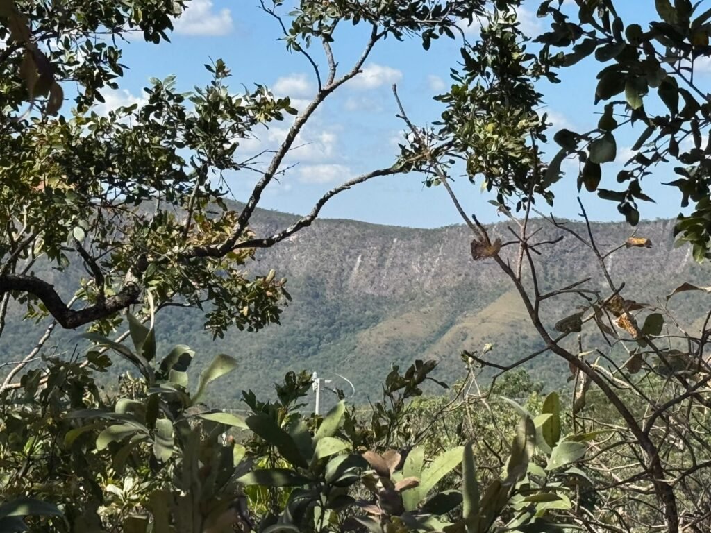 Vende-se Maravilhoso Lote 3.854m2 –  Exclusivo em São Jorge!