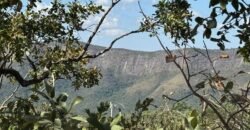 Vende-se Maravilhoso Lote 3.854m2 – Exclusivo em São Jorge! Vende-se Maravilhoso Lote 3.854m2 – Exclusivo em São Jorge!