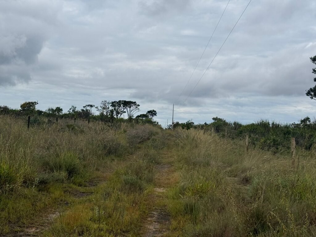 Chácara 40.000m – 5 km de Alto Paraíso – 100% regularizada