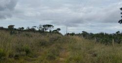 Chácara 40.000m – 5 km de Alto Paraíso – 100% regularizada Chácara 40.000m – 5 km de Alto Paraíso – 100% regularizada