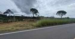 Chácara 40.000m – 5 km de Alto Paraíso – 100% regularizada Chácara 40.000m – 5 km de Alto Paraíso – 100% regularizada