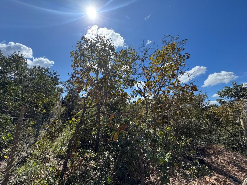 Vende-se Maravilhoso Lote 3.854m2 –  Exclusivo em São Jorge!