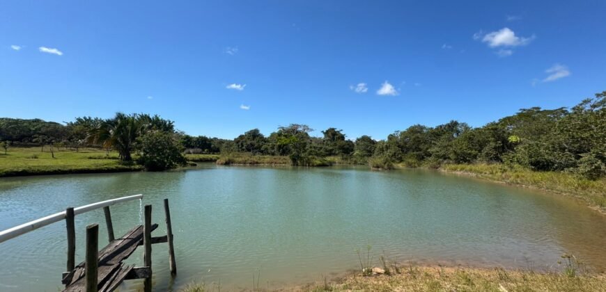 Sítio 15ha – Rio – Açude de Peixe – São João da Aliança – Chapada dos Veadeiros