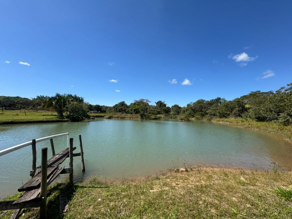 Sítio 15ha – Rio – Açude de Peixe – São João da Aliança – Chapada dos Veadeiros