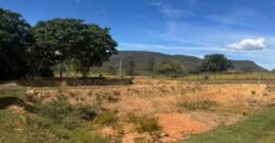 🚜🌳 Maravilhoso Sítio 20ha 🌳🚜 12 km de Alto Paraíso sentido São João da Aliança