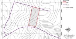 Vende-se Maravilhoso Lote 3.854m2 – Exclusivo em São Jorge! Vende-se Maravilhoso Lote 3.854m2 – Exclusivo em São Jorge!