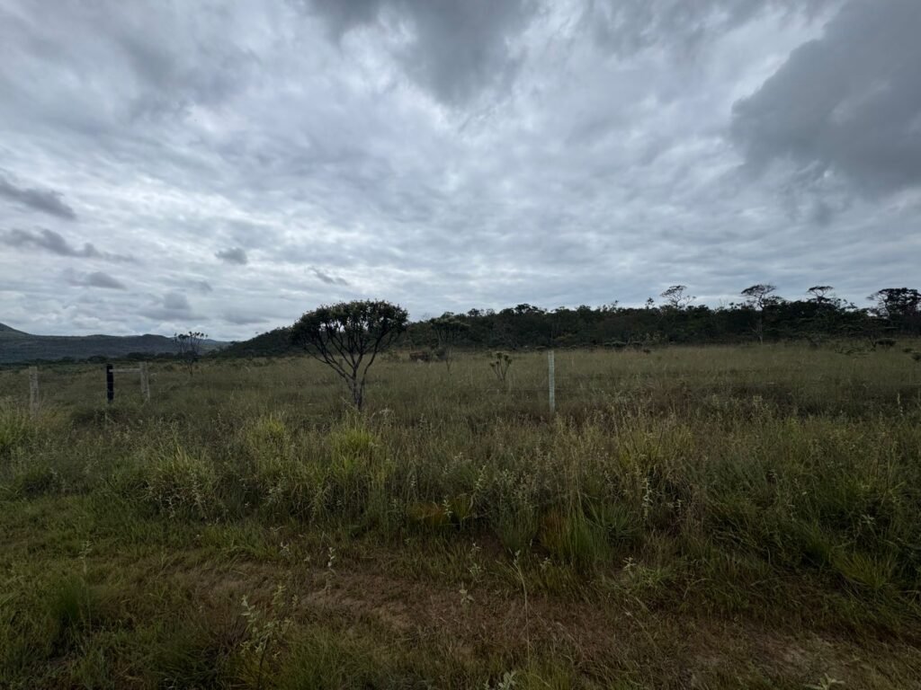 Chácara 40.000m – 5 km de Alto Paraíso – 100% regularizada