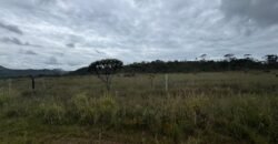 Chácara 40.000m – 5 km de Alto Paraíso – 100% regularizada Chácara 40.000m – 5 km de Alto Paraíso – 100% regularizada
