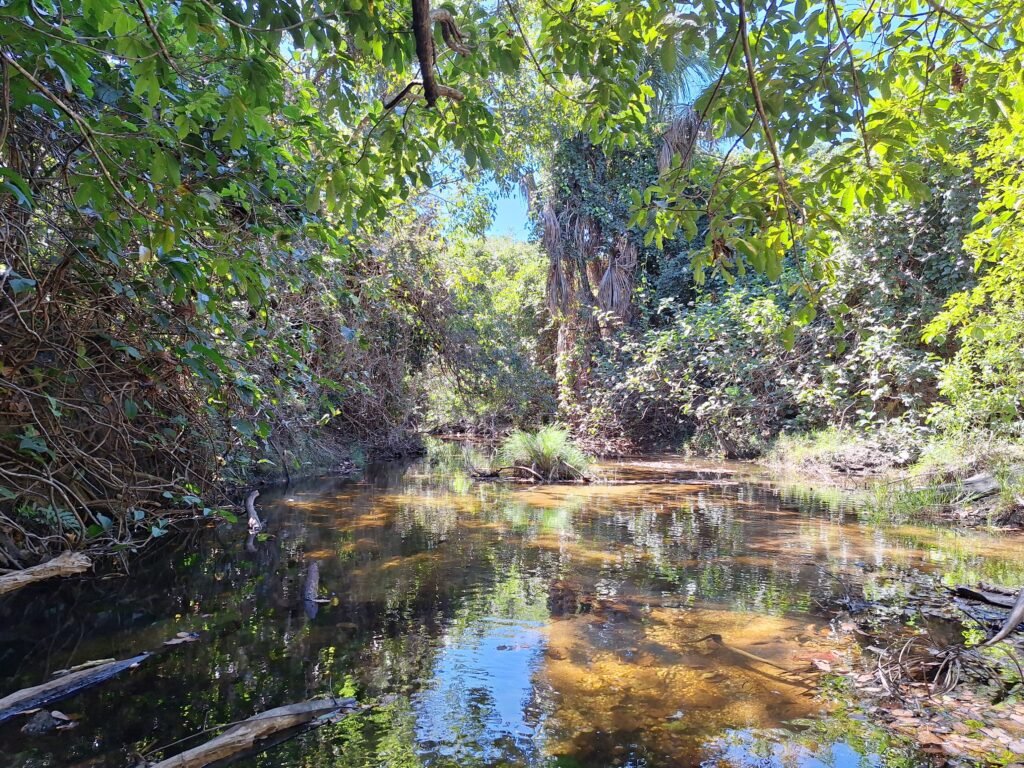 Chácara 4,5ha – 8km do centro de Cavalcante – Chapada dos Veadeiros