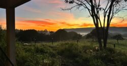 🚜🌳 Maravilhoso Sítio 20ha 🌳🚜 12 km de Alto Paraíso sentido São João da Aliança