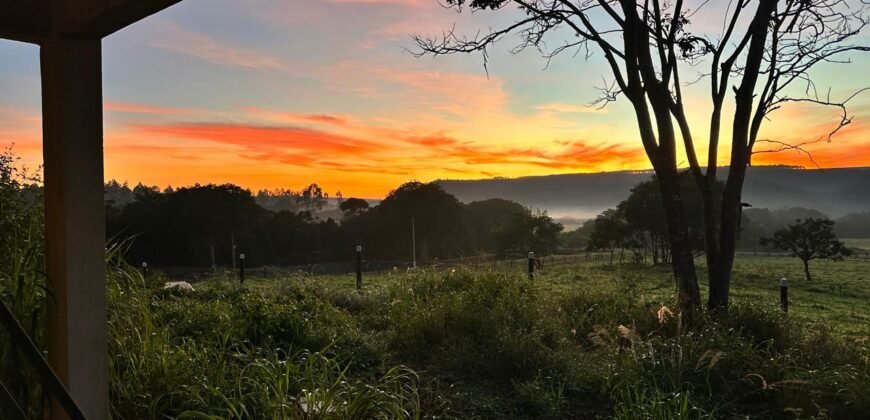 🚜🌳 Maravilhoso Sítio 20ha 🌳🚜 12 km de Alto Paraíso sentido São João da Aliança