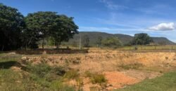 🚜🌳 Maravilhoso Sítio 20ha 🌳🚜 12 km de Alto Paraíso sentido São João da Aliança