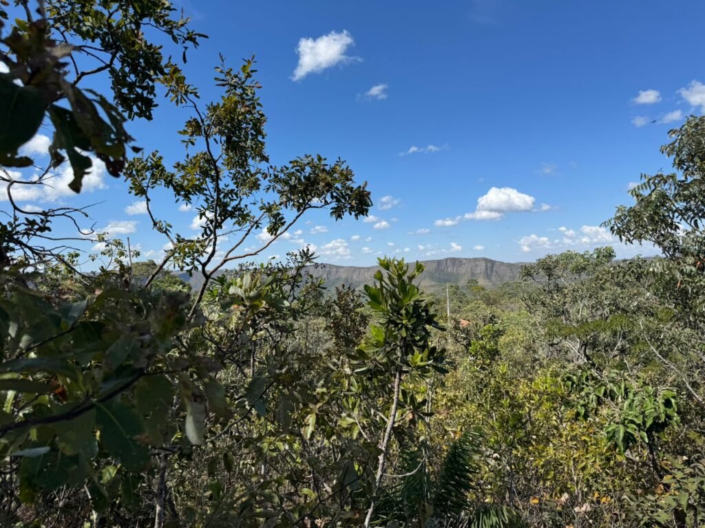 Vende-se Maravilhoso Lote 3.854m2 –  Exclusivo em São Jorge!
