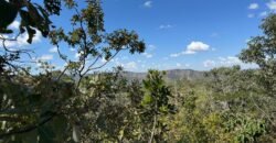 Vende-se Maravilhoso Lote 3.854m2 – Exclusivo em São Jorge! Vende-se Maravilhoso Lote 3.854m2 – Exclusivo em São Jorge!